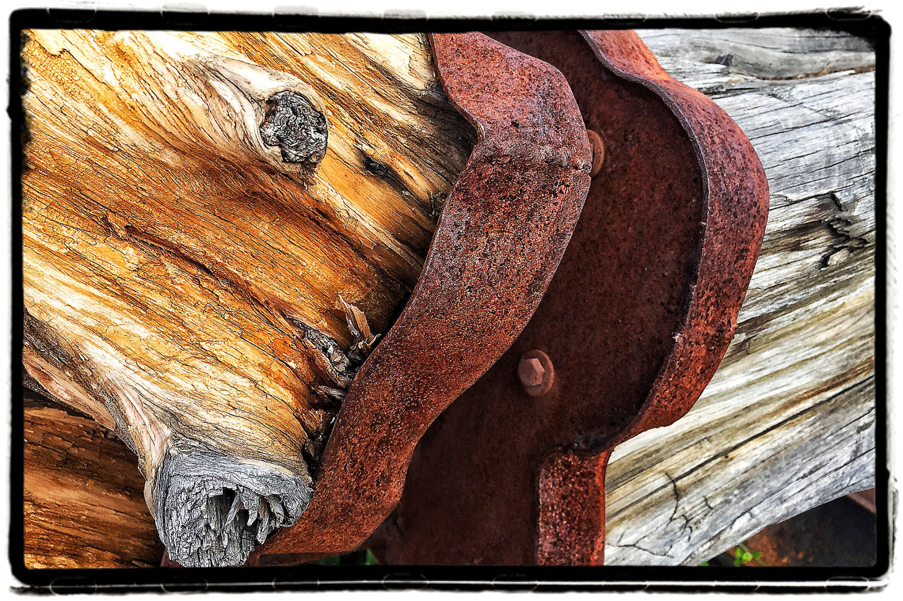 Napa Art Walk